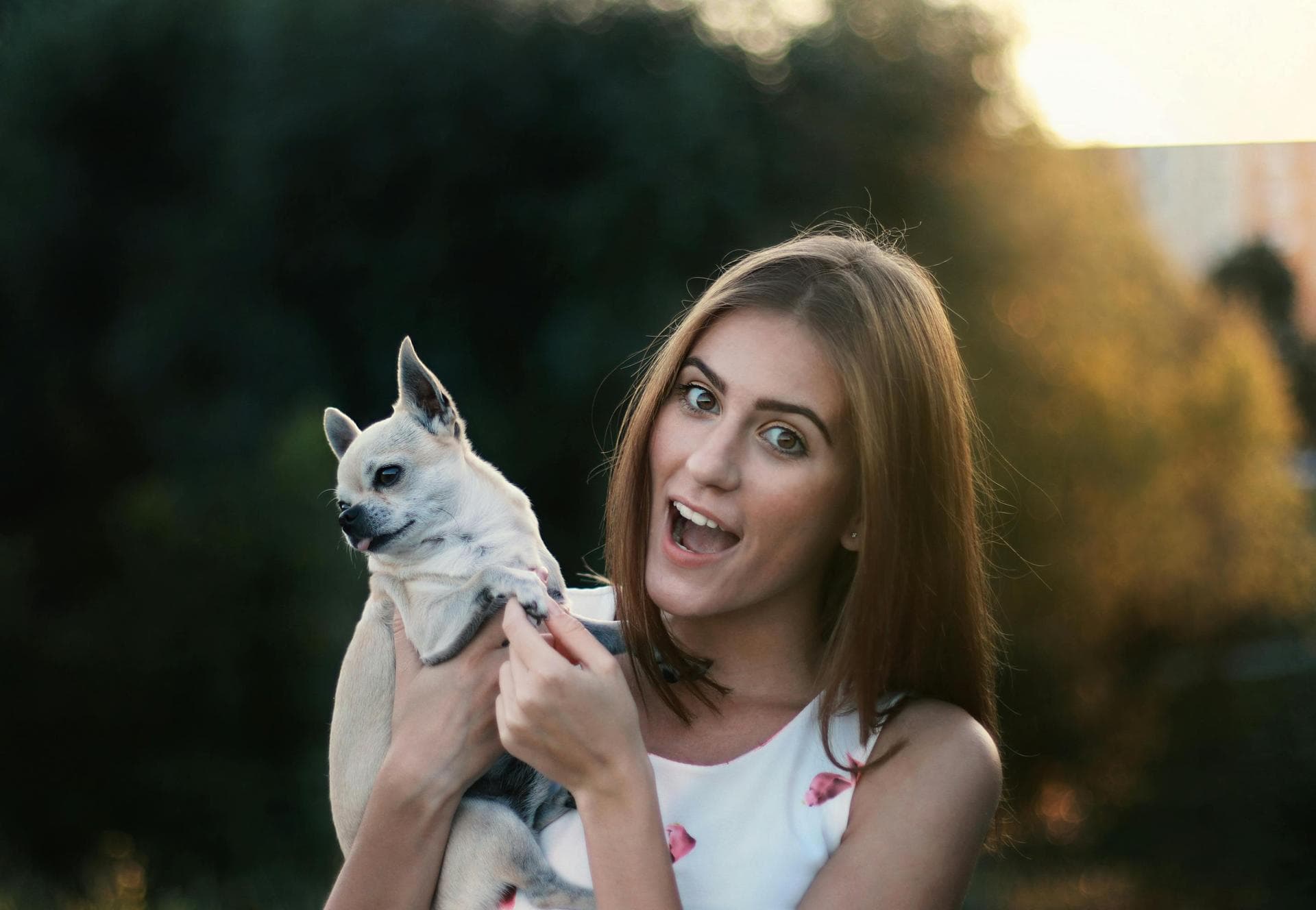 Dog & Cat Vets in Georgetown